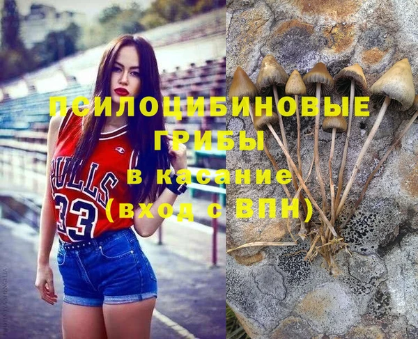 бошки Лагань