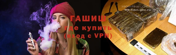 сатива Лабытнанги