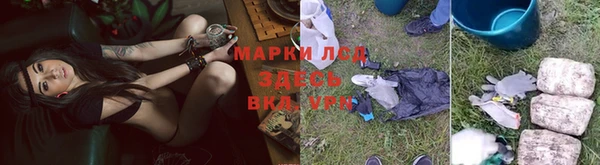 сатива Лабытнанги