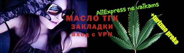 сатива Лабытнанги