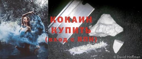 сатива Лабытнанги