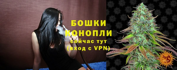 бошки Лагань