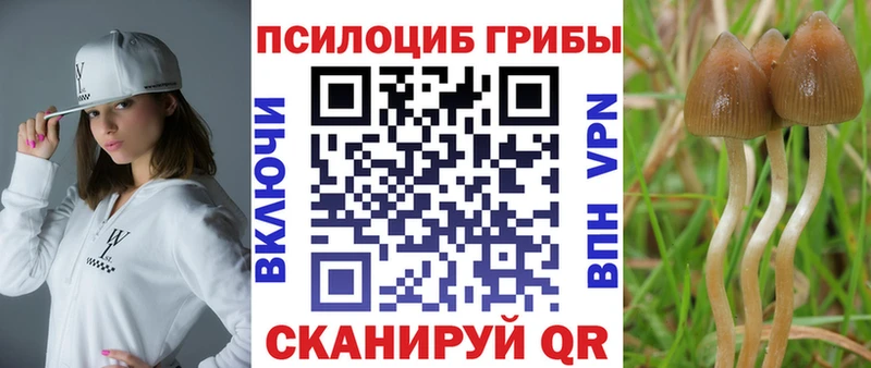 Купить где  Медногорск  Галлюциногенные грибы MAGIC MUSHROOMS 